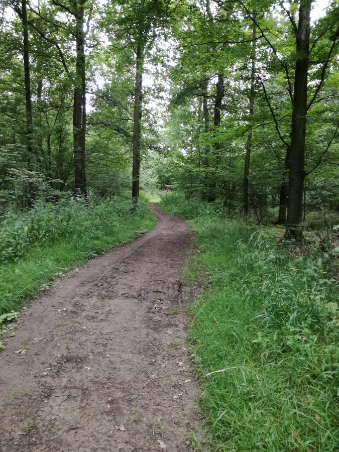 Recreatieoord Hippique Villa Westendorp Eksteriør billede