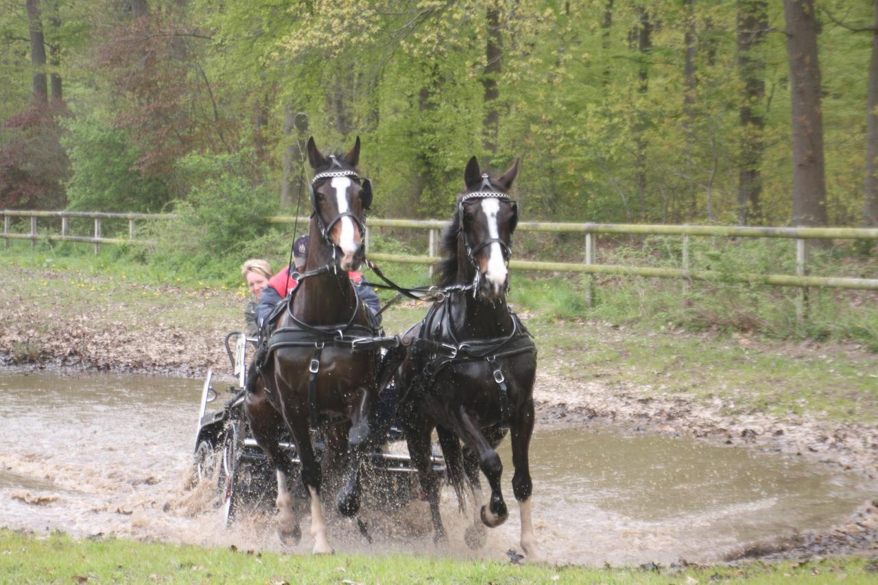 Recreatieoord Hippique Villa Westendorp Eksteriør billede